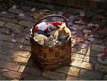 T2重申：《GTA6》仍计划在2025年秋季发售