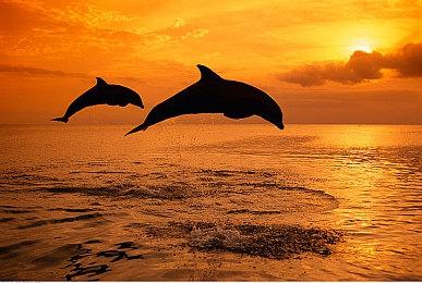 《魔咒之地》PC版支持Auto HDR超宽屏＆PS5手柄